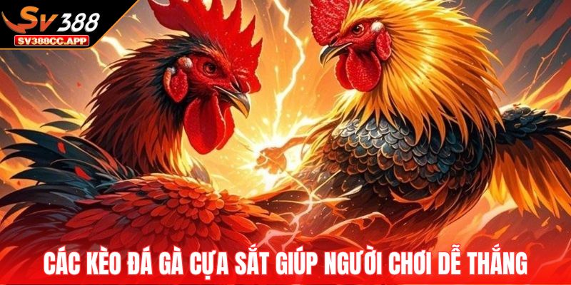 Đá Gà Cựa Sắt – Màn So Tài Đỉnh Cao Của Chiến Kê Mạnh Mẽ 4 Các kèo đá gà cựa sắt giúp người chơi dễ thắng