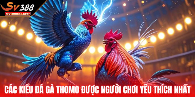 Đá Gà Thomo – Đấu Trường Huyền Thoại Hấp Dẫn Nhất 2025 4 Các kiểu đá gà Thomo được người chơi yêu thích nhất
