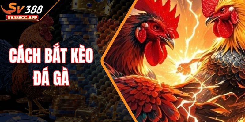 Cách Bắt Kèo Đá Gà – Bí Quyết Chọn Cửa Thắng Dễ Dàng 1 Cách Bắt Kèo Đá Gà – Bí Quyết Chọn Cửa Thắng Dễ Dàng