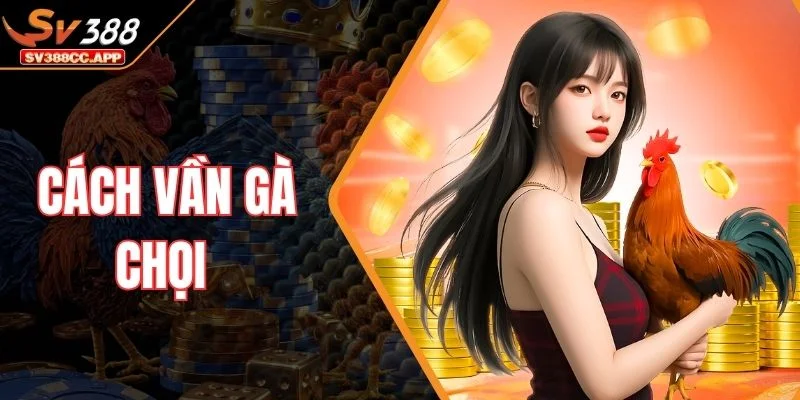 Cách Vần Gà Chọi – Các Bài Tập Giúp Chiến Kê Sung Đòn Hơn 1 Cách Vần Gà Chọi – Các Bài Tập Giúp Chiến Kê Sung Đòn Hơn
