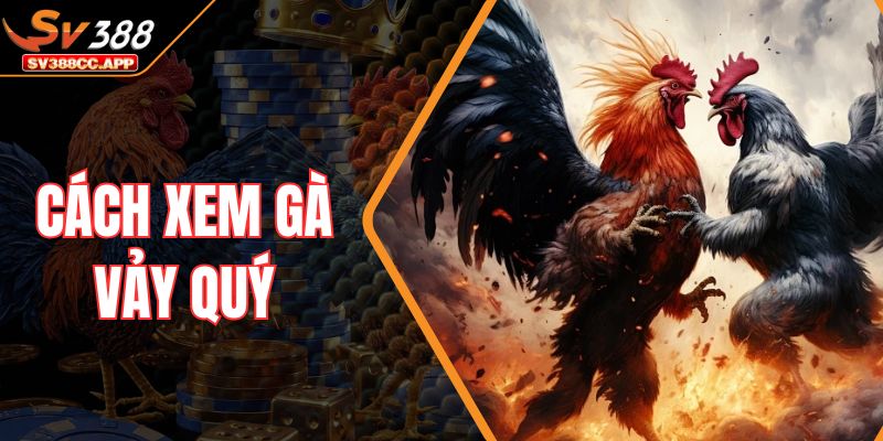 Cách Xem Gà Vảy Quý – Nhận Diện Vảy Hiếm Tăng Tỷ Lệ Thắng 1 Cách Xem Gà Vảy Quý – Nhận Diện Vảy Hiếm Tăng Tỷ Lệ Thắng