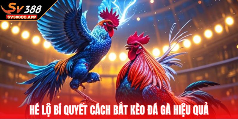 Cách Bắt Kèo Đá Gà – Bí Quyết Chọn Cửa Thắng Dễ Dàng 4 Hé lộ bí quyết cách bắt kèo đá gà hiệu quả