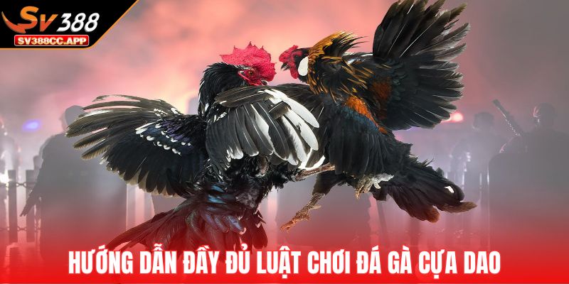 Đá Gà Cựa Dao – Sân Chơi Của Những Chiến Kê Mạnh Mẽ Nhất 2 Hướng dẫn đầy đủ luật chơi đá gà cựa dao chuyên nghiệp