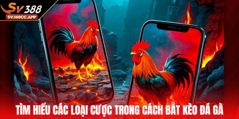 Cách Bắt Kèo Đá Gà – Bí Quyết Chọn Cửa Thắng Dễ Dàng 3 Tìm hiểu các loại cược trong cách bắt kèo đá gà